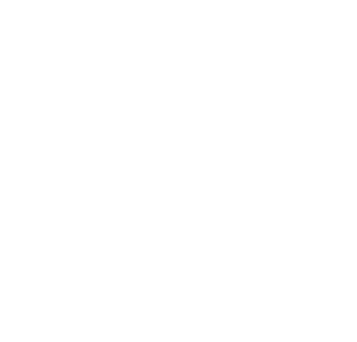 SOC2White